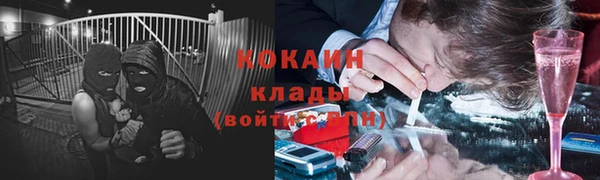дмт Новодвинск