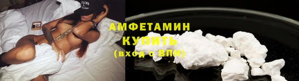 прущие грибы Новокубанск