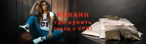 дмт Новодвинск