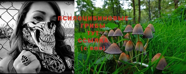 дмт Новодвинск
