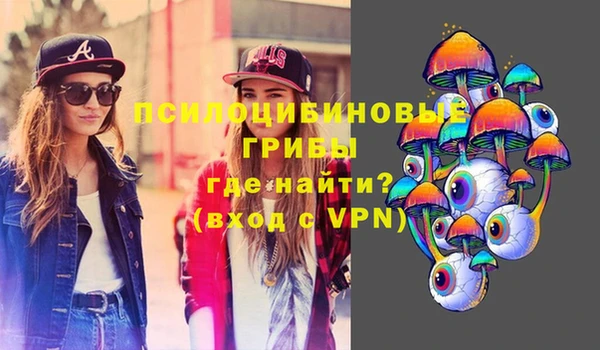 мдма Новозыбков