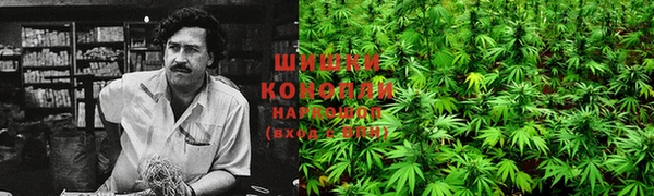 дмт Новодвинск