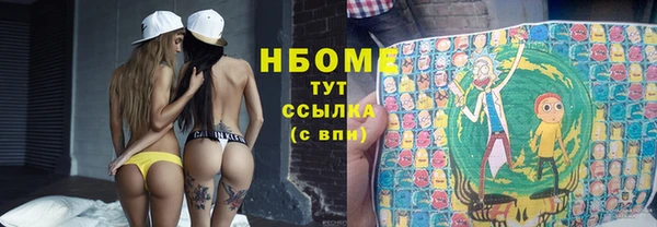прущие грибы Новокубанск