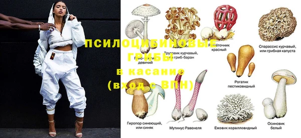 мдма Новозыбков